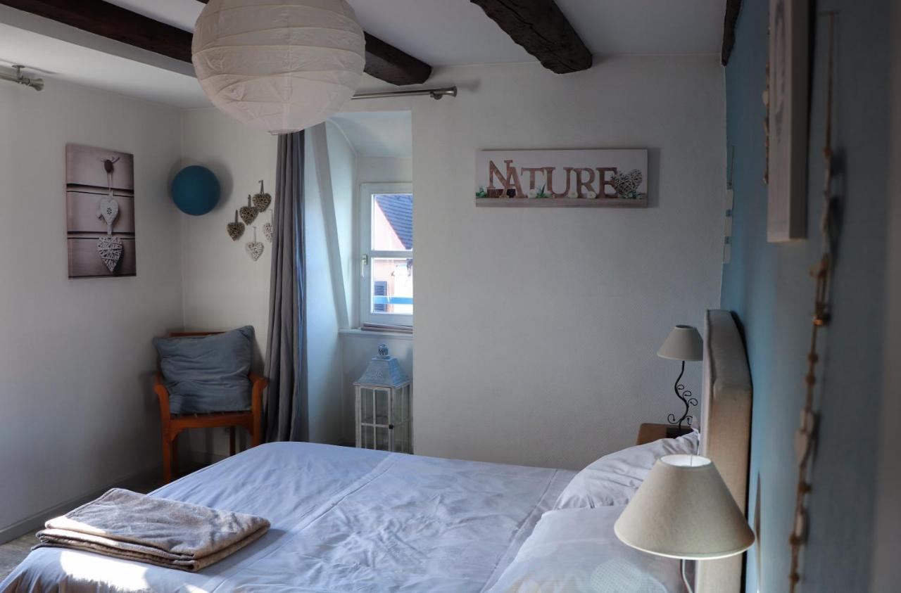 Sous Les Toits Du Zinc - Climatise Apartment Colmar Exterior photo